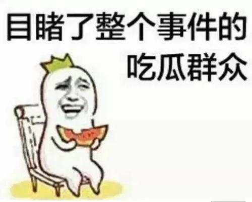 随心吃瓜群众怎么说的,群众视角下的社会热点解读
