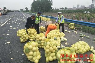 吃瓜群众爆米花视频
